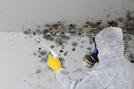 Best Commercial Mold Inspection  in Sneedville, TN